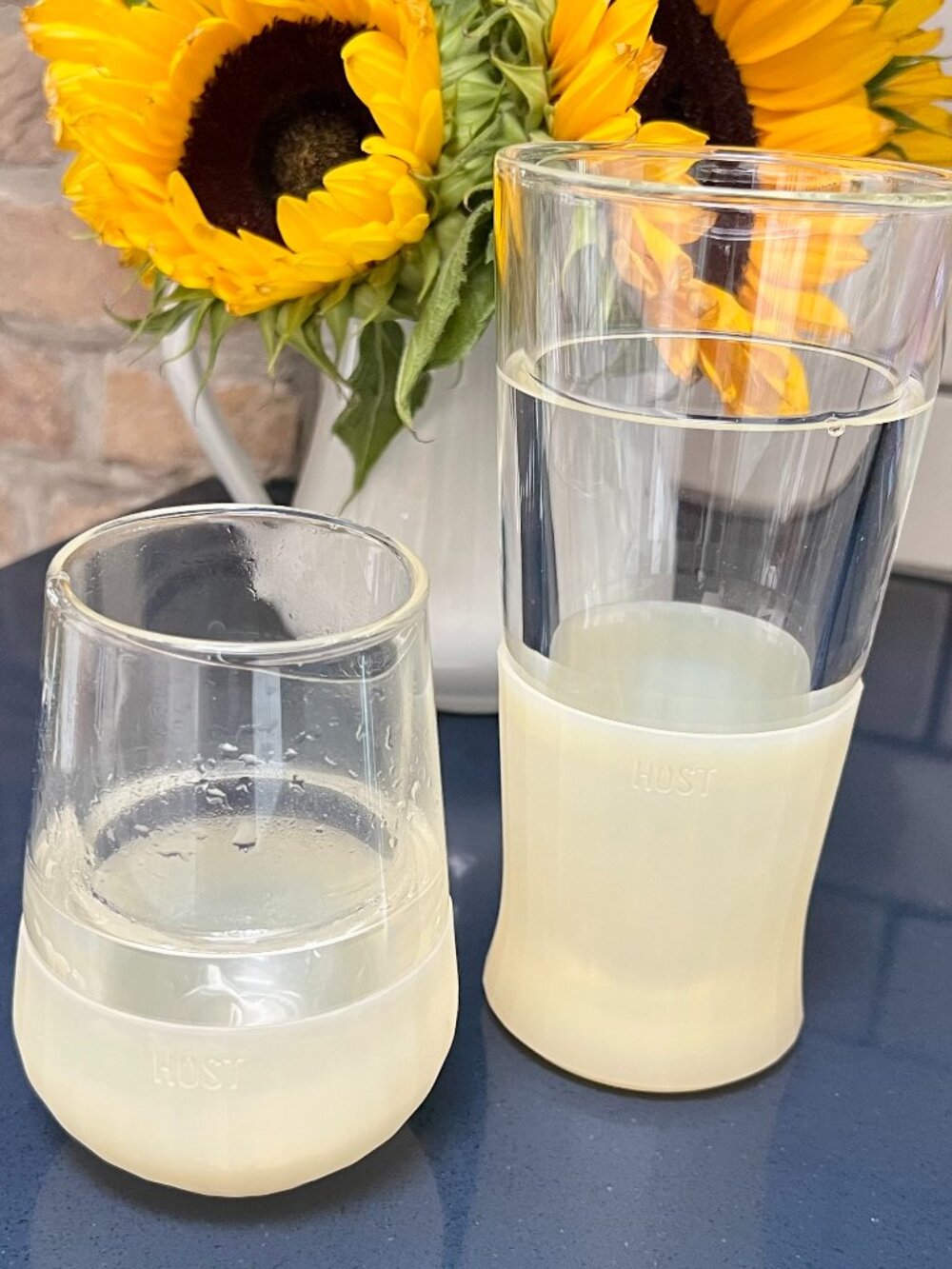 HOST Wine/Cocktail & Beer Freeze Cooling Cup/Mug